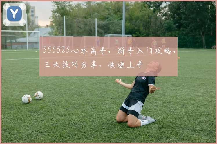 555525心水高手，新手入门攻略，三大技巧分享，快速上手