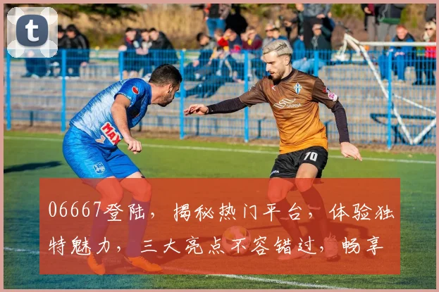 06667登陆，揭秘热门平台，体验独特魅力，三大亮点不容错过，畅享精彩时光