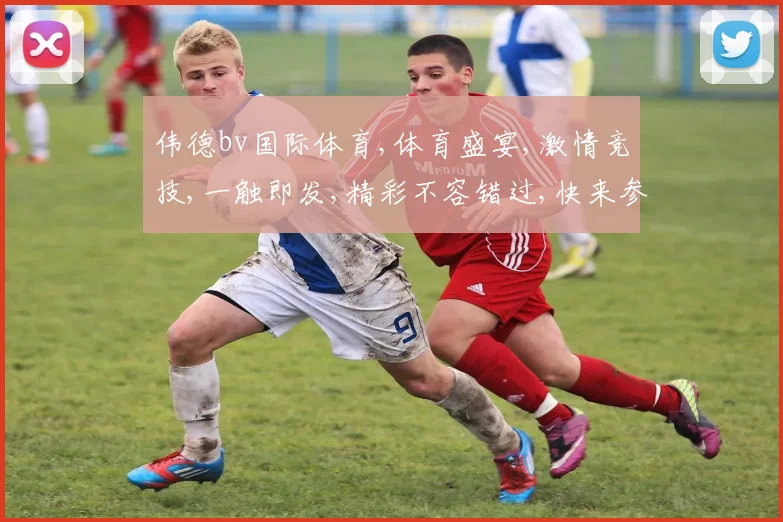 伟德bv国际体育,体育盛宴,激情竞技,一触即发,精彩不容错过,快来参与