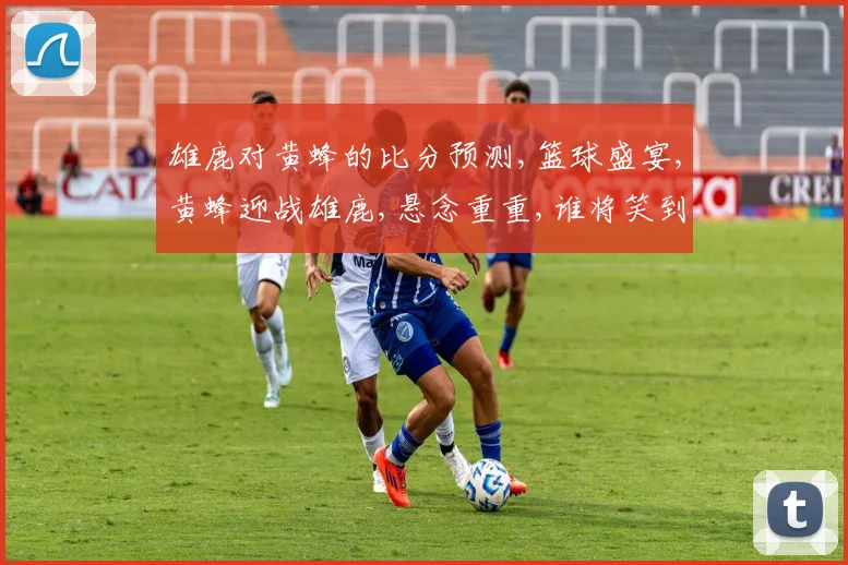 雄鹿对黄蜂的比分预测,篮球盛宴,黄蜂迎战雄鹿,悬念重重,谁将笑到最后
