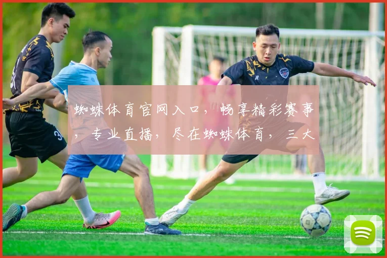 蜘蛛体育官网入口，畅享精彩赛事，专业直播，尽在蜘蛛体育，三大特色逗您乐