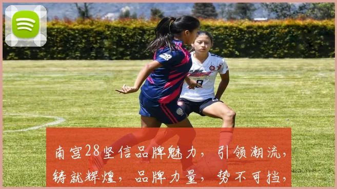 南宫28坚信品牌魅力，引领潮流，铸就辉煌，品牌力量，势不可挡，共筑美好未来。